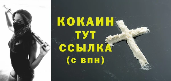 гидра Белоозёрский