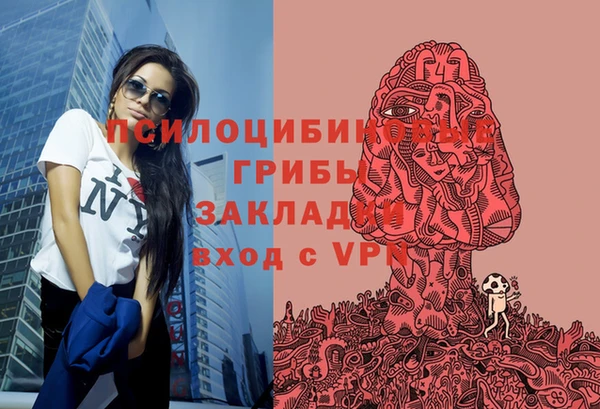 кокаин Белокуриха