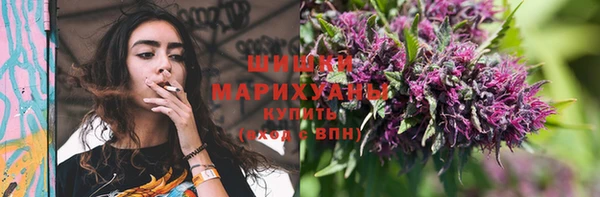 гидра Белоозёрский