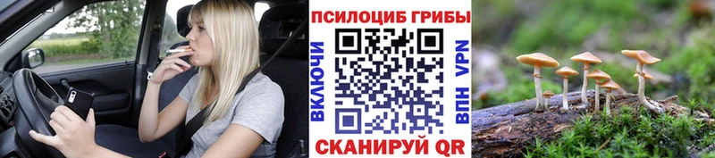 площадка какой сайт  Очёр  Псилоцибиновые грибы MAGIC MUSHROOMS  мега сайт 