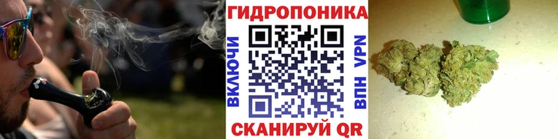 Канабис сатива Очёр